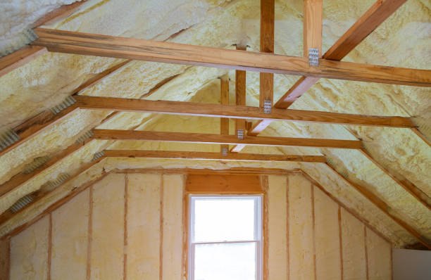 Best Cellulose Insulation in Pretty Bayou, FL