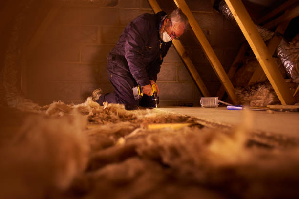 Best Cellulose Insulation in Pretty Bayou, FL